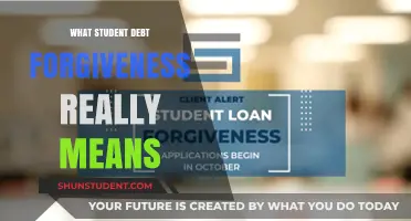 Understanding Student Debt Forgiveness: Implications, Impact, and Real-Life Consequences