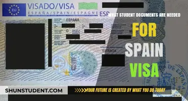 Essential Student Documents for Spain Visa Application