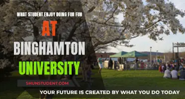 Binghamton University Fun: Exploring Student Favorite Pastimes