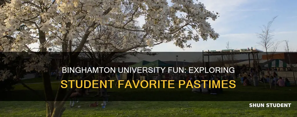 what student enjoy doing for fun at binghamton university