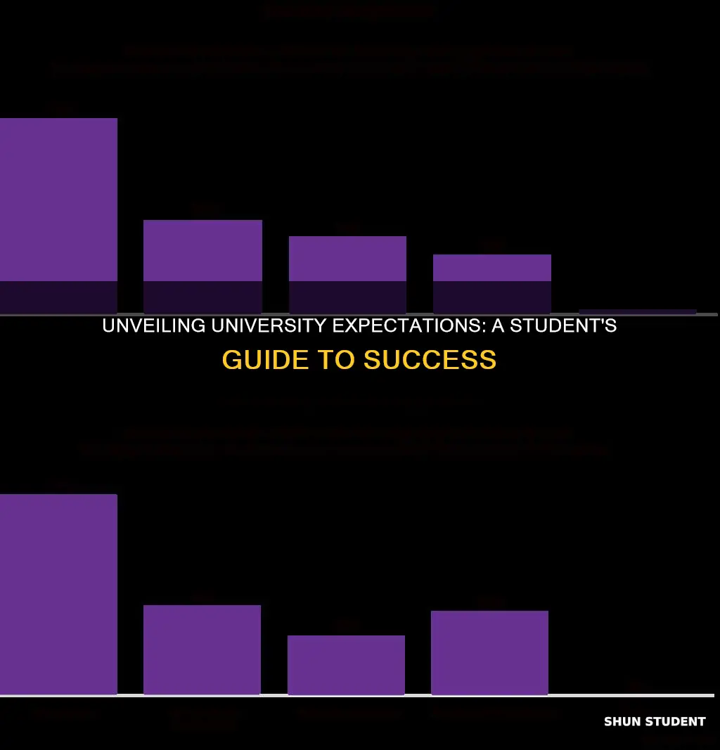 what student expect from university