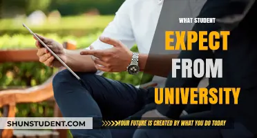 University Expectations: A Student's Perspective