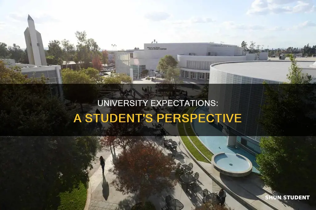 what student expect from university