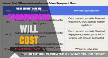 Understanding the Financial Impact of IBR Forgiveness on Student Loans