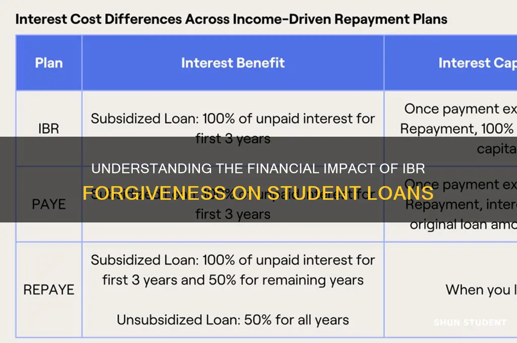 what student loan ibr forgiveness will cost