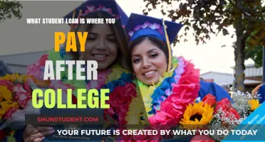 Student Loans: Pay After College