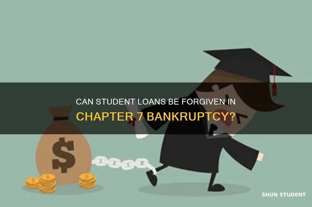 what student loans are forgiven in chapter 7 bankruptcy