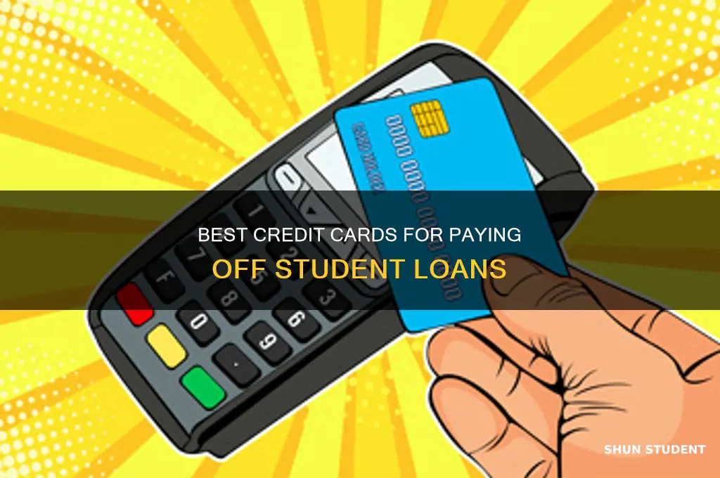 what student loans can you pay with credit card