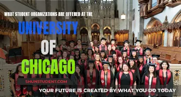 Uncover the University of Chicago's Student Life: A Guide to Campus Organizations