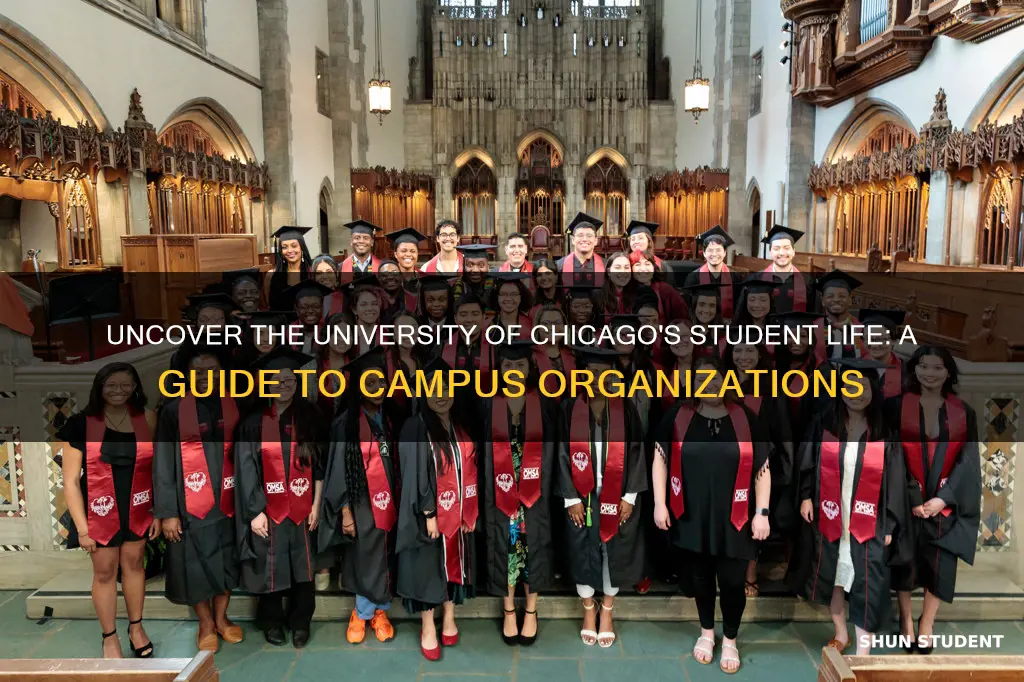 what student organizations are offered at the university of chicago