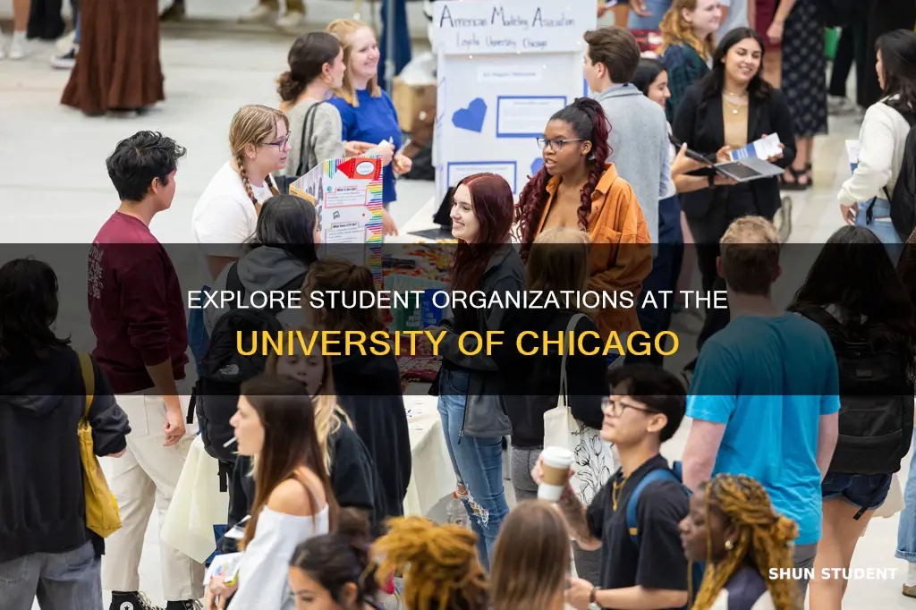 what student organizations are offered at the university of chicago