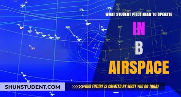 Navigating B Airspace: Essential Knowledge for Student Pilots