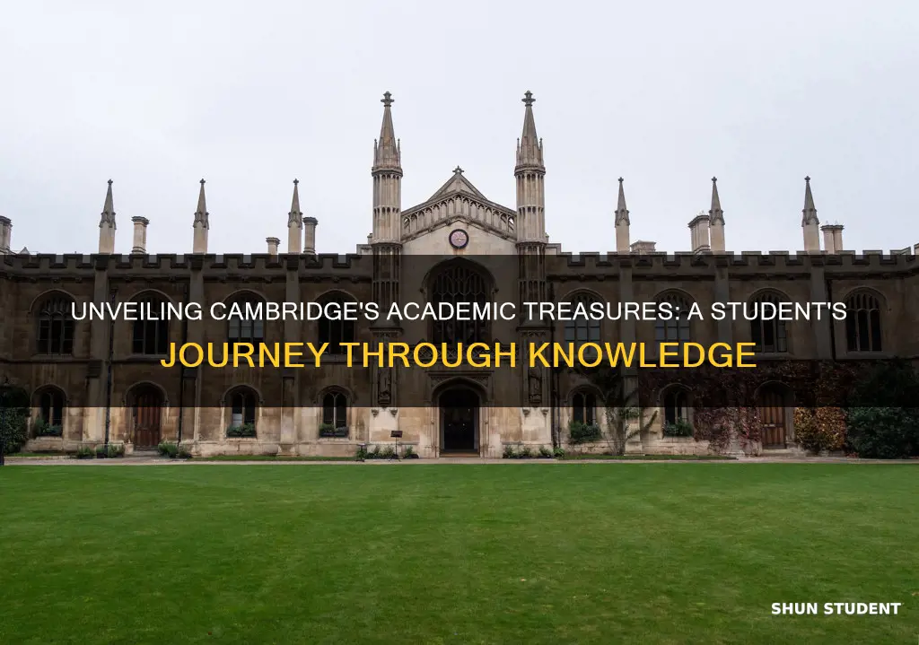 what student study in university of cambridge