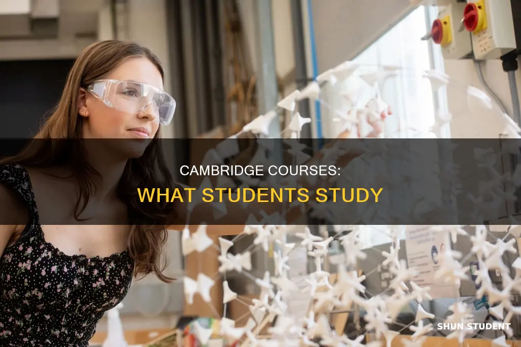 what student study in university of cambridge