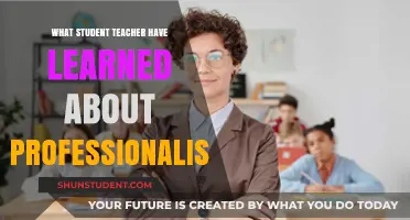 Professionalism Lessons: Insights from Student Teachers' Experiences and Growth