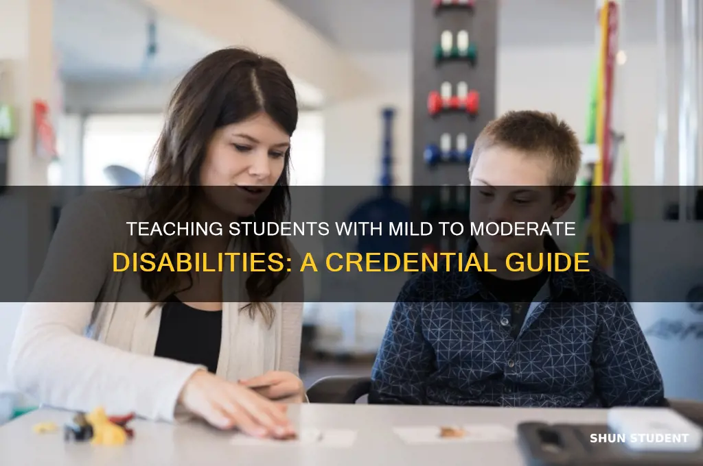 what students can you teach with mild to moderate credential