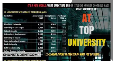 Top Universities: Benefits and Opportunities