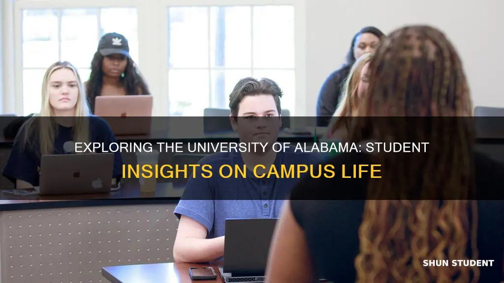 what students like about the university of alabama