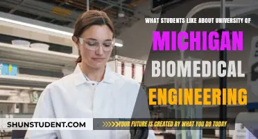 Biomedical Engineering: Why Students Love University of Michigan
