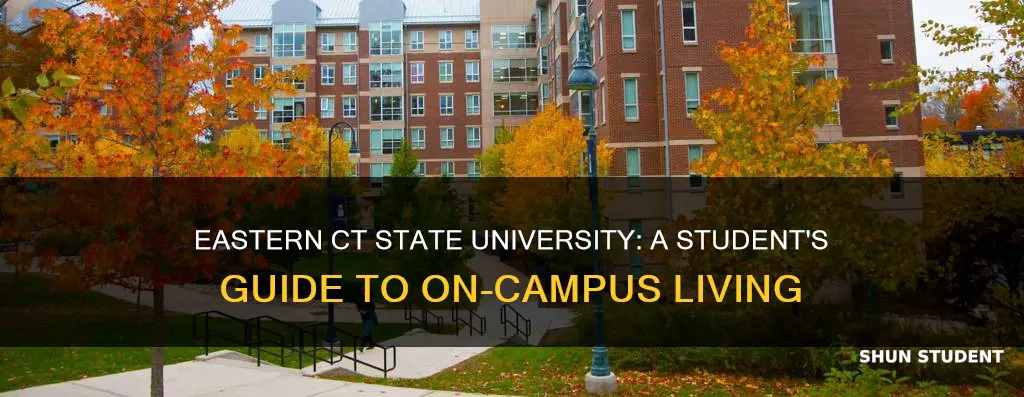 what students live at eastern ct state university