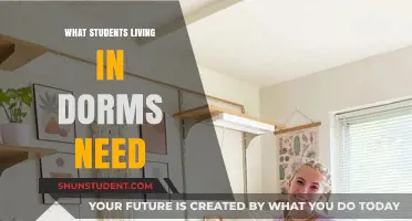 Essential Dorm Life: What Every Student Needs to Thrive