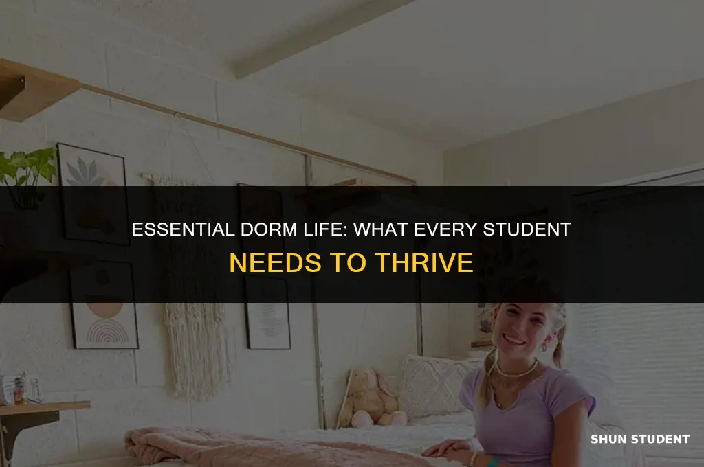 what students living in dorms need