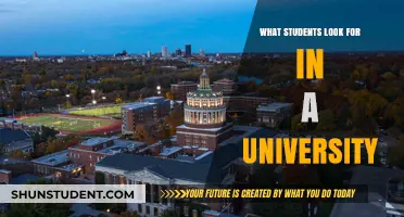 The University Experience: What Students Seek