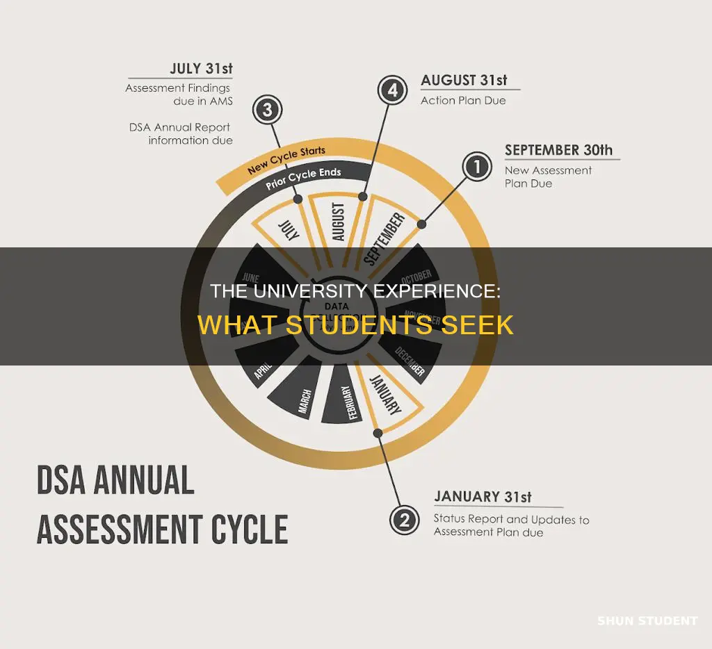 what students look for in a university