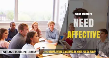 Unlocking Potential: The Affective Needs of Students in Today's Classrooms