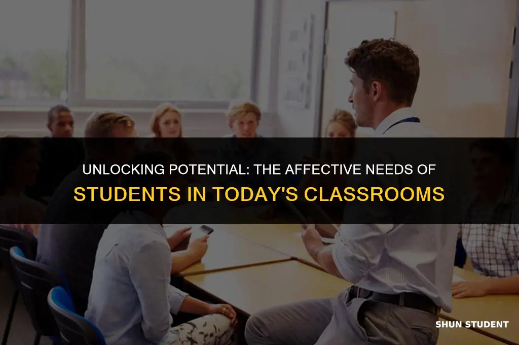 what students need affective
