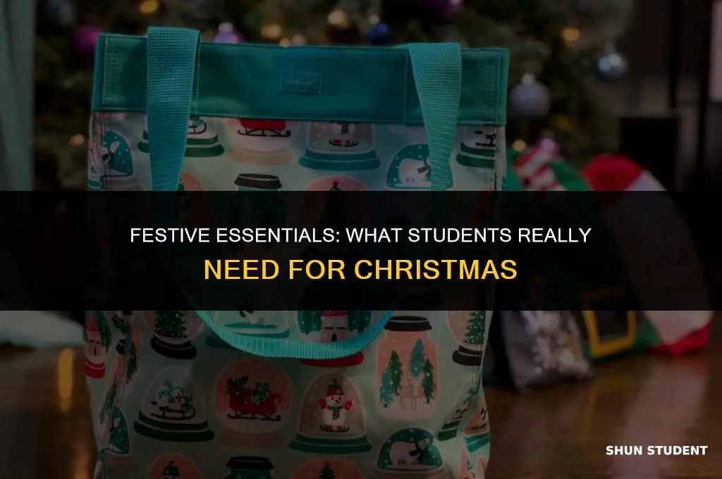 what students need for christmas