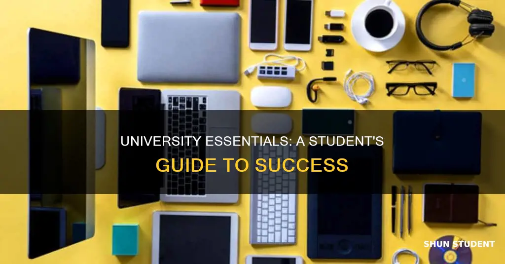 what students need for university