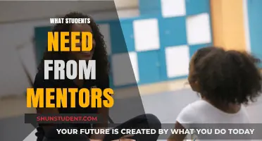 Guiding Lights: What Students Truly Need from Mentors