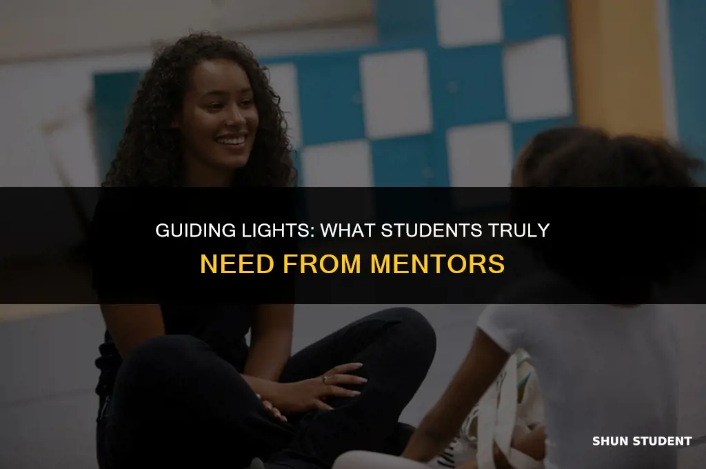 what students need from mentors