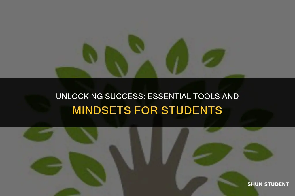 what students need in order to be successful
