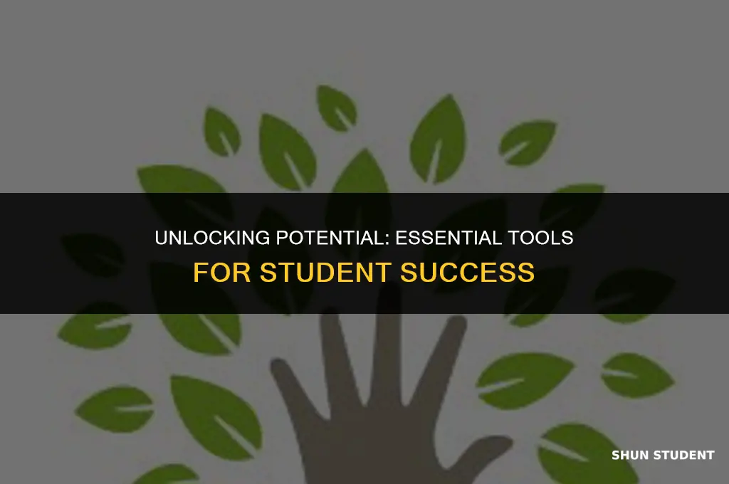 what students need most to succeed