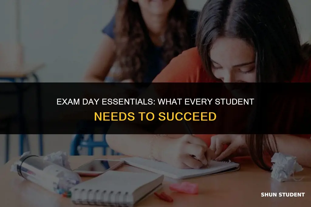 what students need on exam day