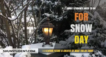 Snow Day Survival Guide: Tips for Students to Stay Productive and Safe