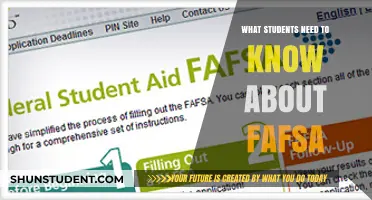 Decoding FAFSA: Essential Tips for Students Seeking Financial Aid