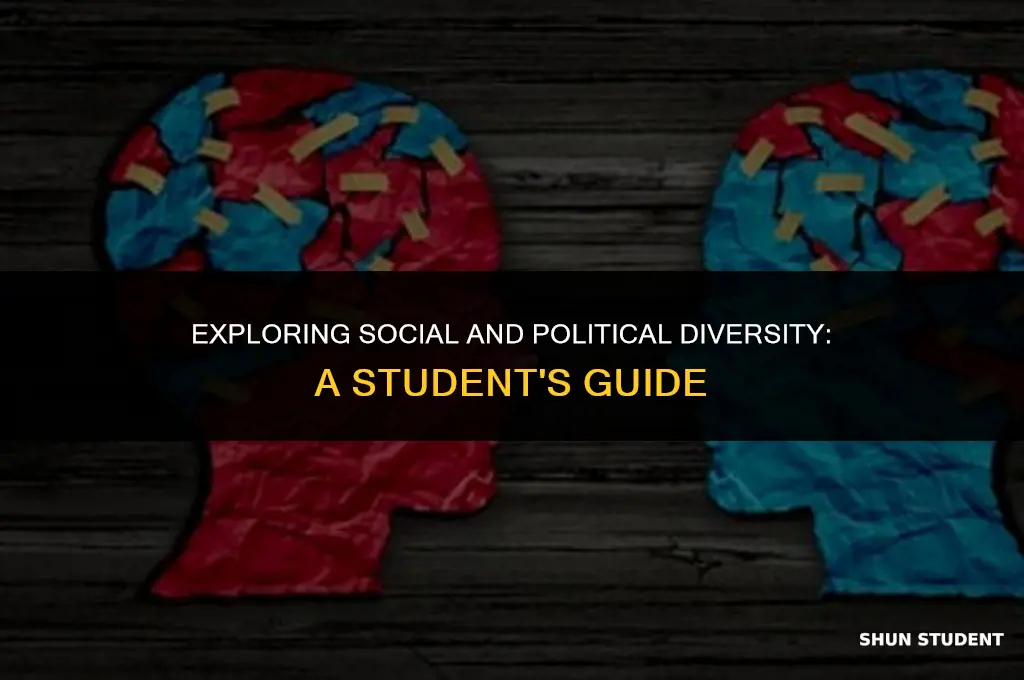 what students need to know about social and political diversity