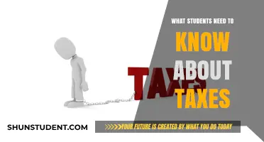 Decoding Taxes: Essential Knowledge for Students
