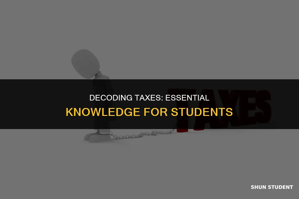 what students need to know about taxes