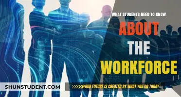 Preparing for the Future: Essential Insights for Students Entering the Workforce