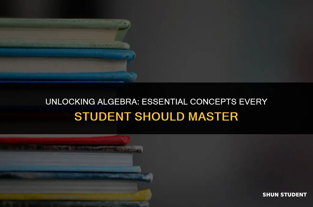 what students need to know before going into algebra