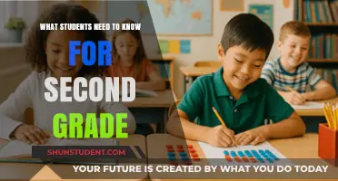 Essential Skills and Knowledge for Second Graders: A Comprehensive Guide