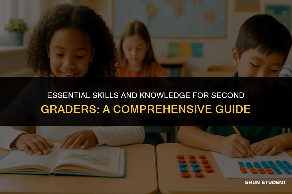 what students need to know for second grade