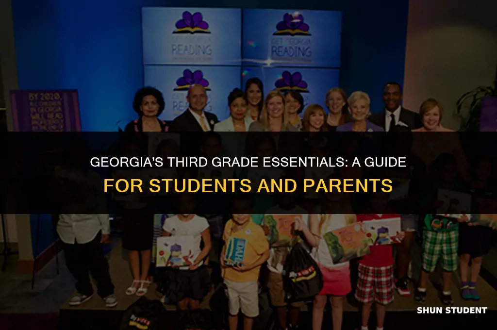 what students need to know in third grade in ga