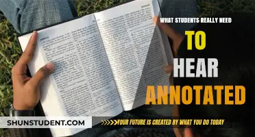 Unveiling Truths: What Students Desperately Need to Hear Annotated