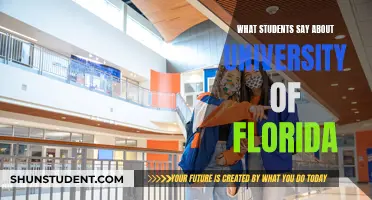 UF Students: Our Honest Take on Life at the University of Florida