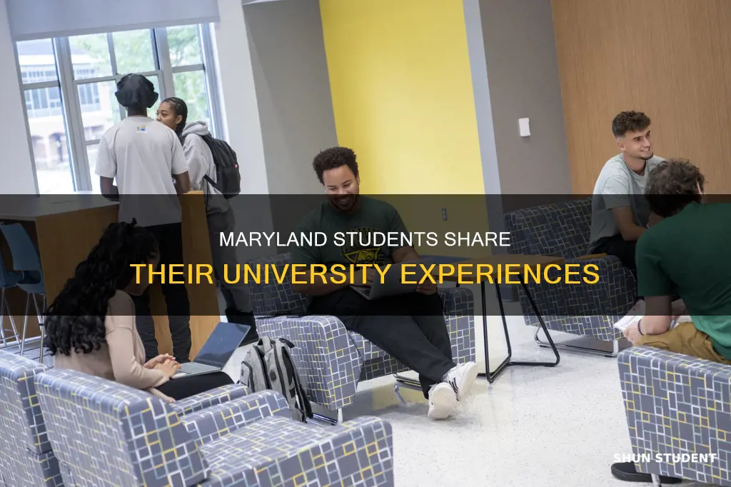 what students say about university of maryland
